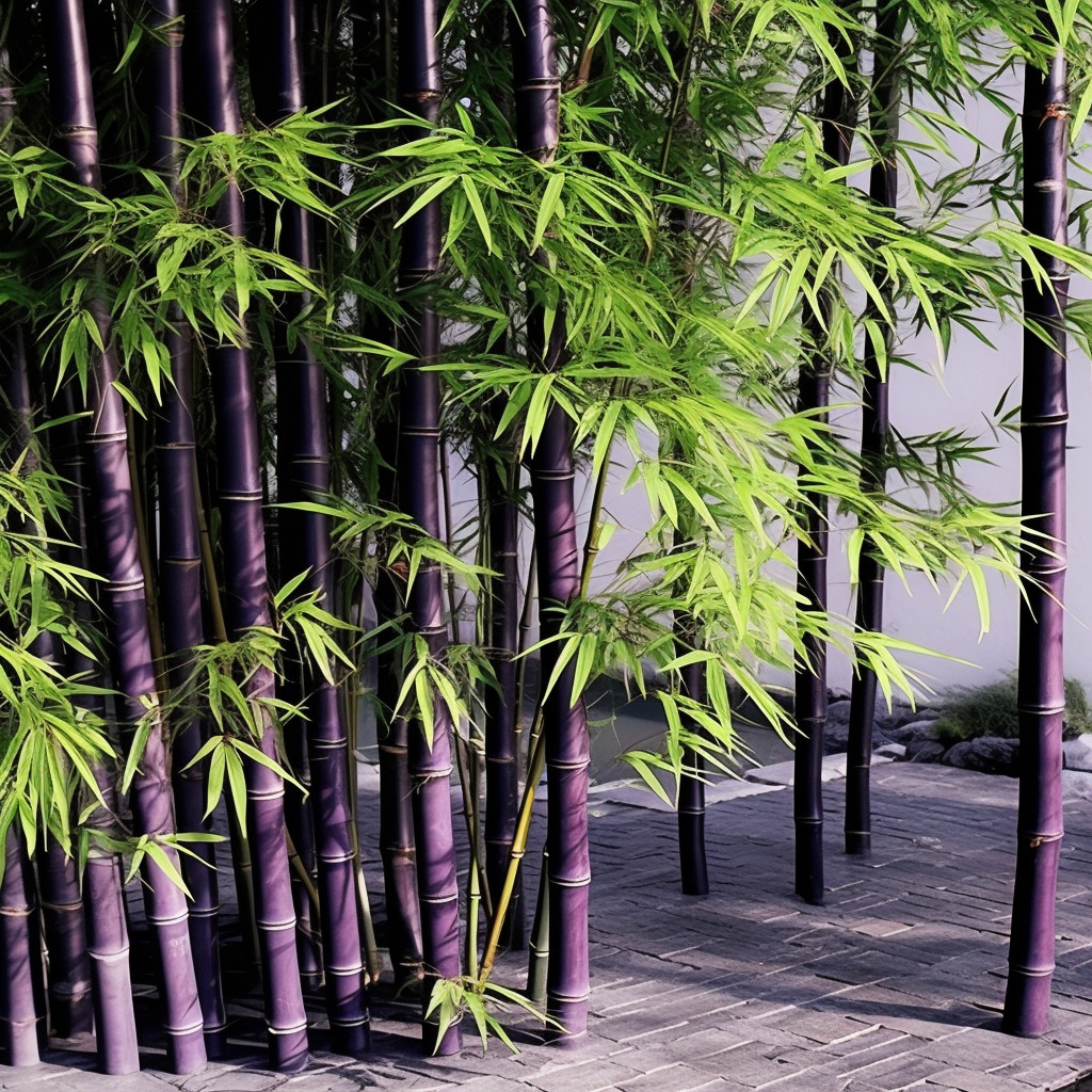 中式庭院有紫竹,相机实拍,物体真实,物体纹理真实自然,氛围感真实强烈,水面纹理、反光真实,光源真实,-豆友cFxM的Midjourney作品 ...